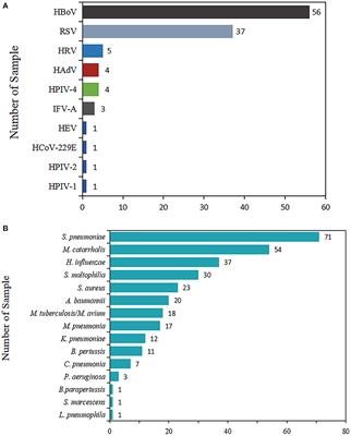 Epidemiologic and clinical characteristics of human bocavirus infection in children hospitalized for acute respiratory tract infection in Qingdao, China